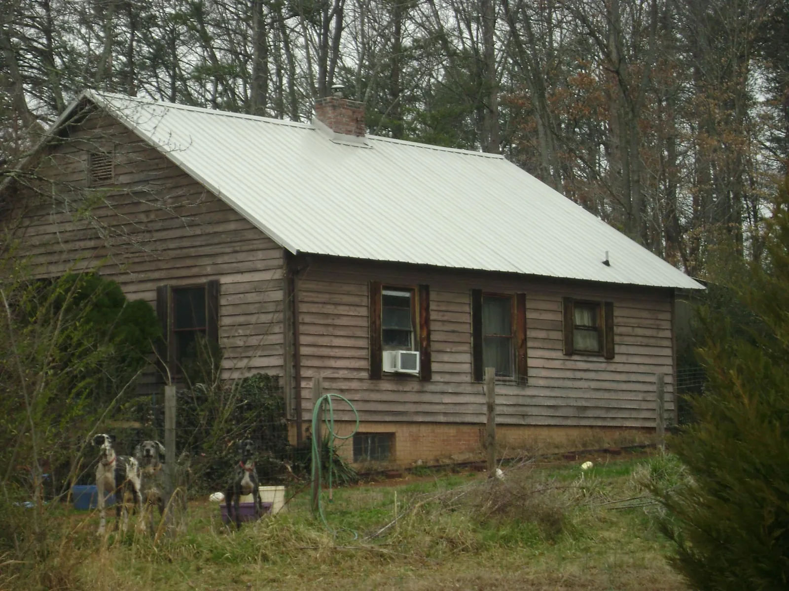 White metal roof on an old wood sided farmhouse, from a Asphalt Shingle Roof Repair job in Hooppole